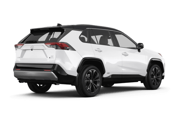 Toyota RAV4 Hybrid  - Back view Toyota RAV4 Hybrid  - Back view